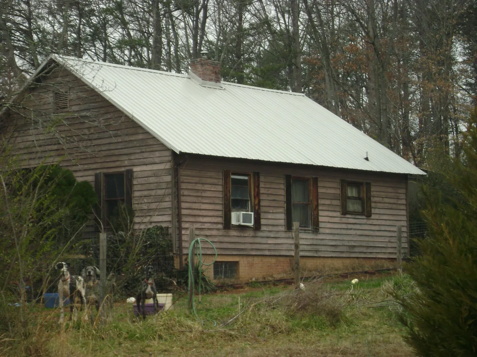 White metal roof on an old wood sided farmhouse, from a Asphalt Shingle Roof Repair job in Los Gatos